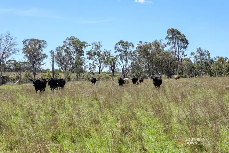 Third view of Homely rural property listing, 140 Wickhams Road, Karara QLD 4352