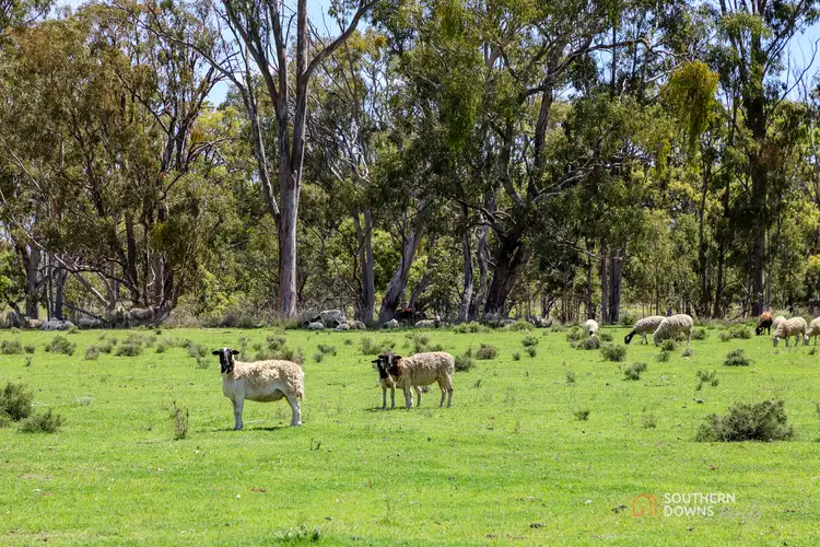 Fourth view of Homely rural property listing, 140 Wickhams Road, Karara QLD 4352