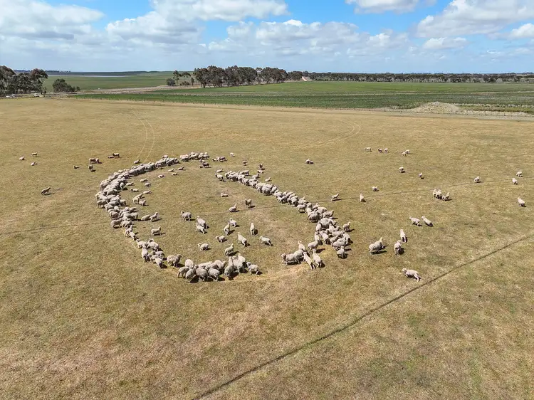 Second view of Homely rural property listing, Foxhow-Cressy Road, Duverney VIC 3323
