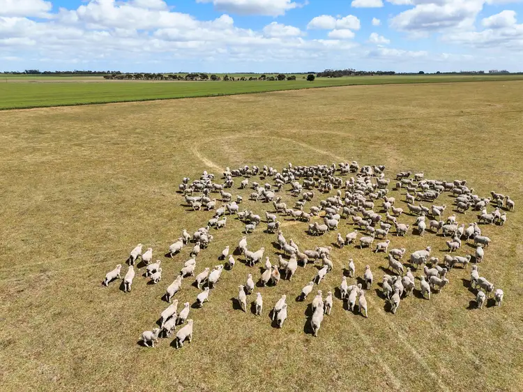 Third view of Homely rural property listing, Foxhow-Cressy Road, Duverney VIC 3323