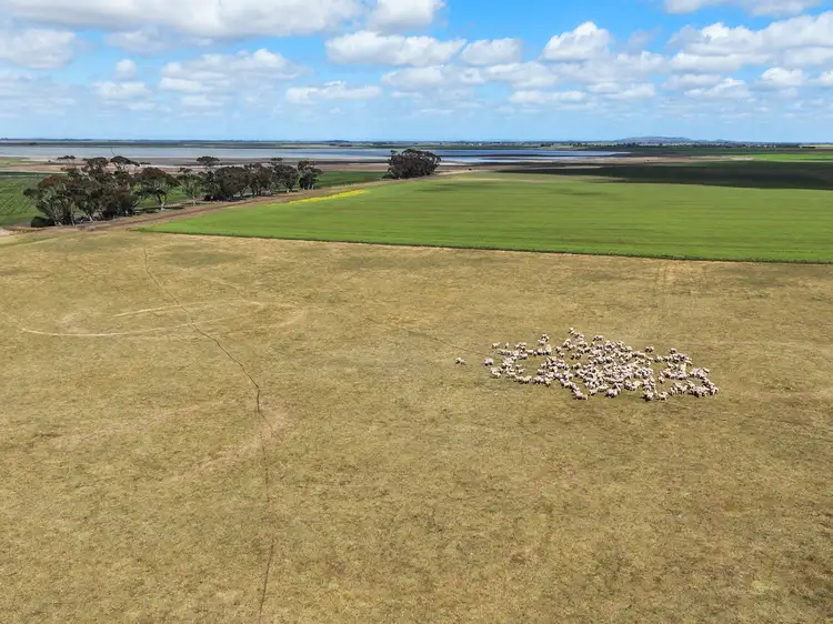 Sixth view of Homely rural property listing, Foxhow-Cressy Road, Duverney VIC 3323
