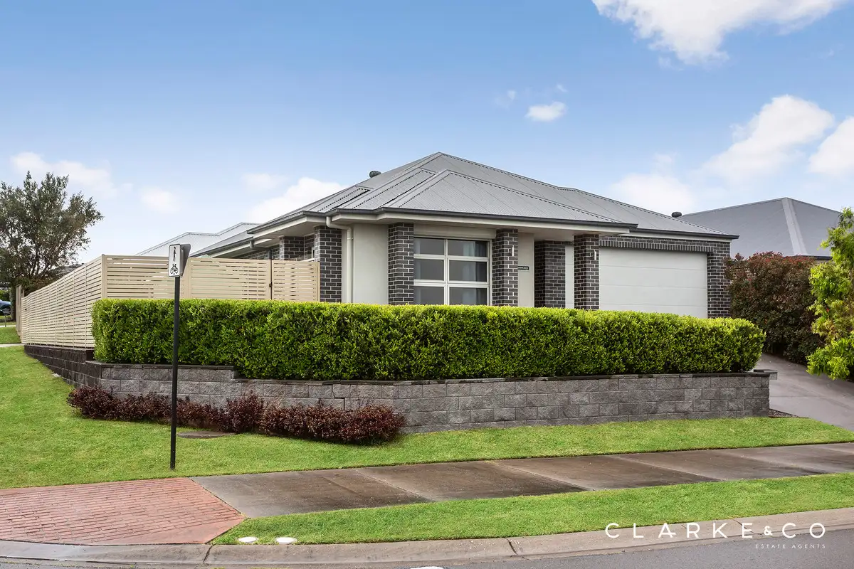 Main view of Homely house listing, 37 Grasshawk Drive, Chisholm NSW 2322