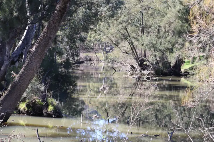 Second view of Homely rural property listing, 1/738 Kaludabah Road, Mudgee NSW 2850