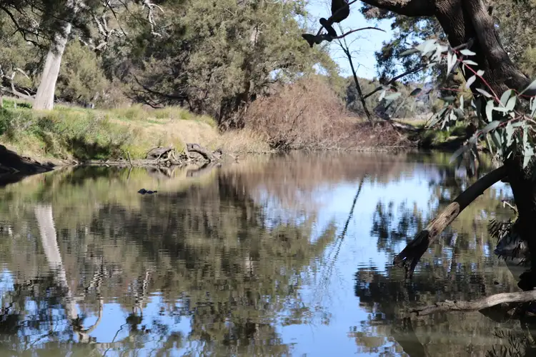 Third view of Homely rural property listing, 1/738 Kaludabah Road, Mudgee NSW 2850