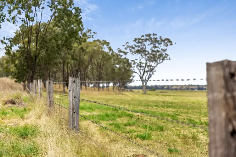 Seventh view of Homely rural property listing, LOT 55 Clifton Leyburn Road, Ellangowan QLD 4361