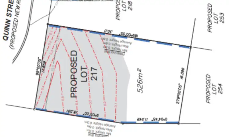 LOT 217, 38 Quinn Street, Ripley QLD 4306