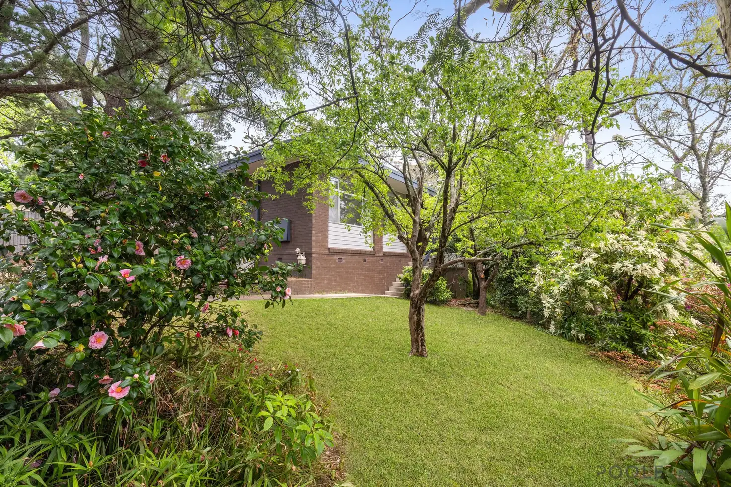 Main view of Homely house listing, 2 Terrace Falls Road, Hazelbrook NSW 2779