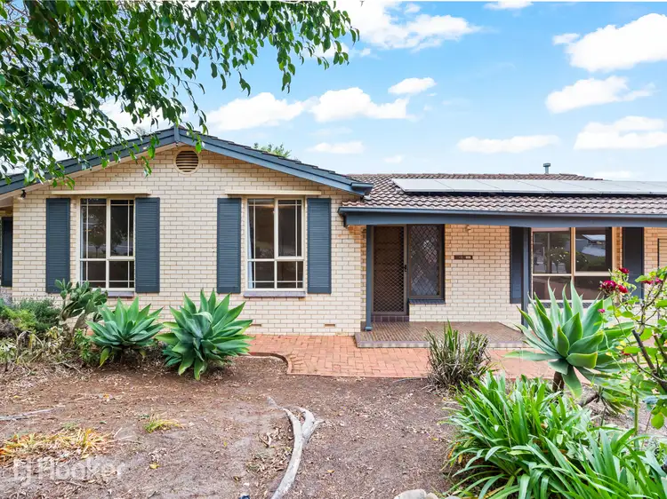 Main view of Homely house listing, 13 Buckley Crescent, Fairview Park SA 5126