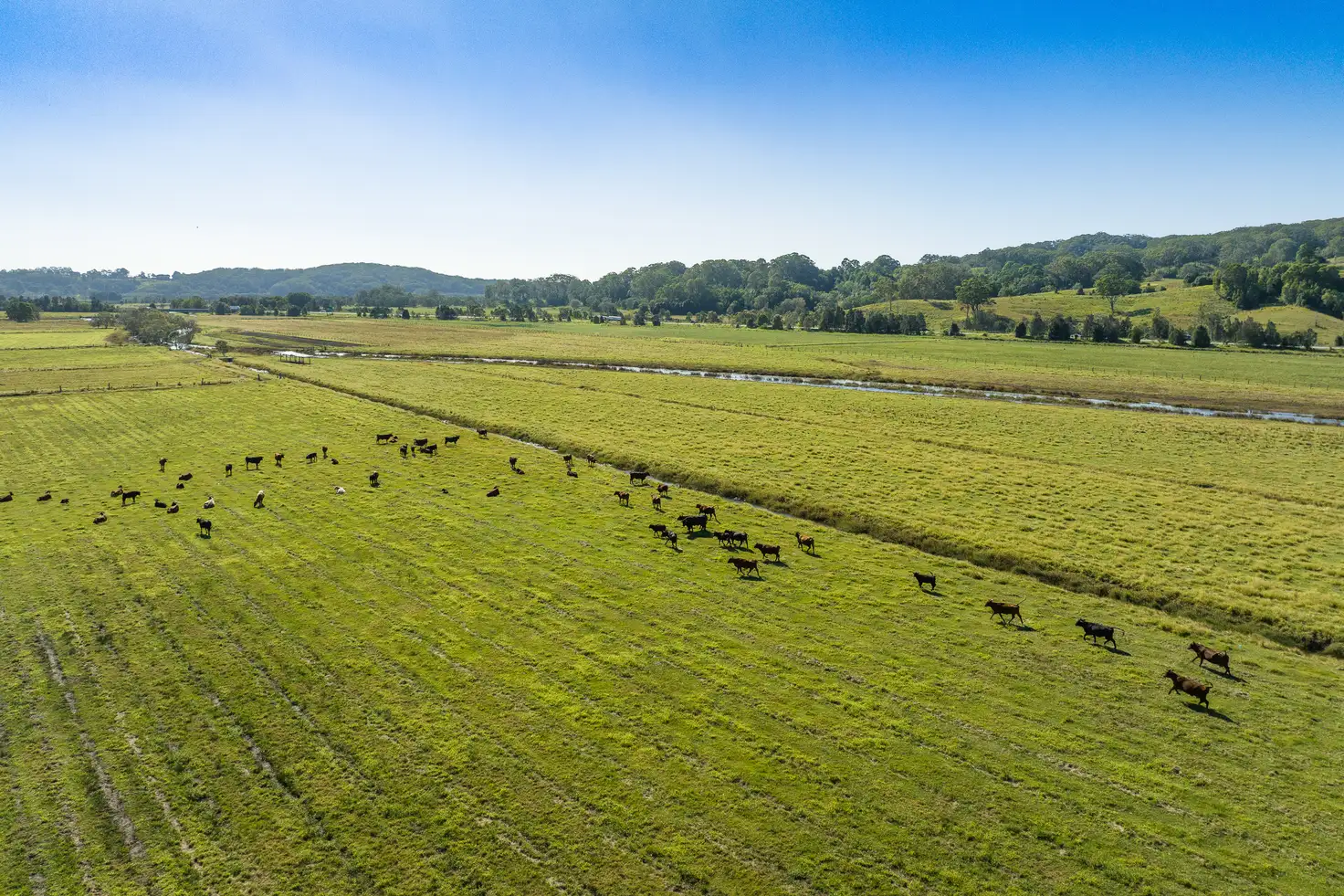 Main view of Homely land listing, 660 Round Mountain Road, Round Mountain NSW 2484