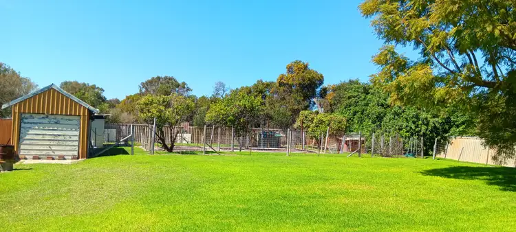 Fifth view of Homely house listing, 98 Carl Street, Muchea WA 6501