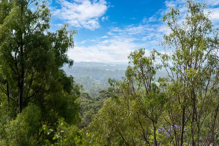 Main view of Homely rural property listing, 15 - 23 Vonda Youngman Drive, Tamborine QLD 4270