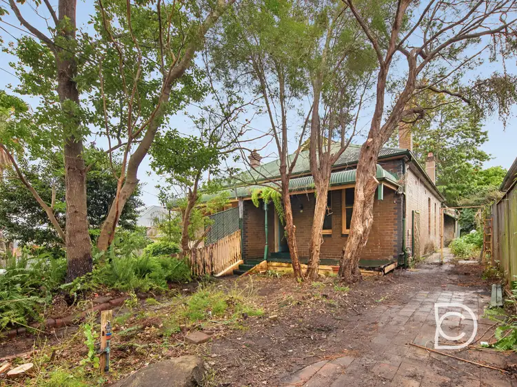 3 Napier Street, North Strathfield NSW 2137