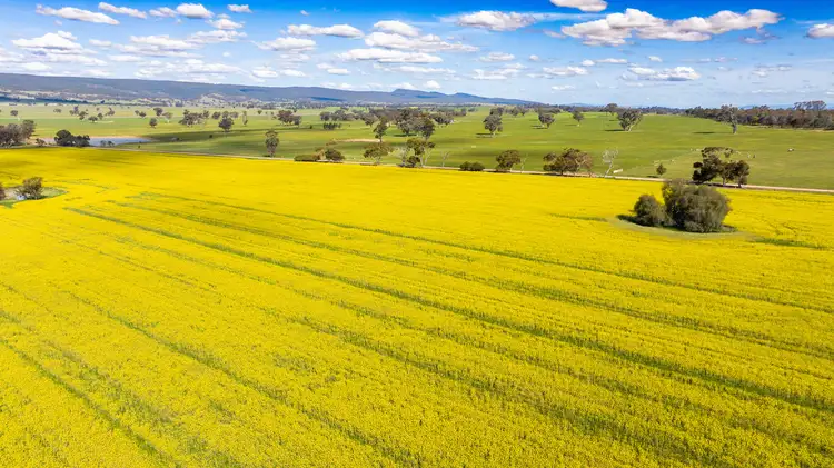 1791 Olympic Highway, Culcairn NSW 2660