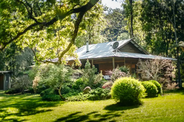 Fifth view of Homely rural property listing, 1458 Darkwood Road, Bellingen NSW 2454