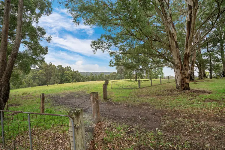 73 Rodney Road, Mount Vincent NSW 2323