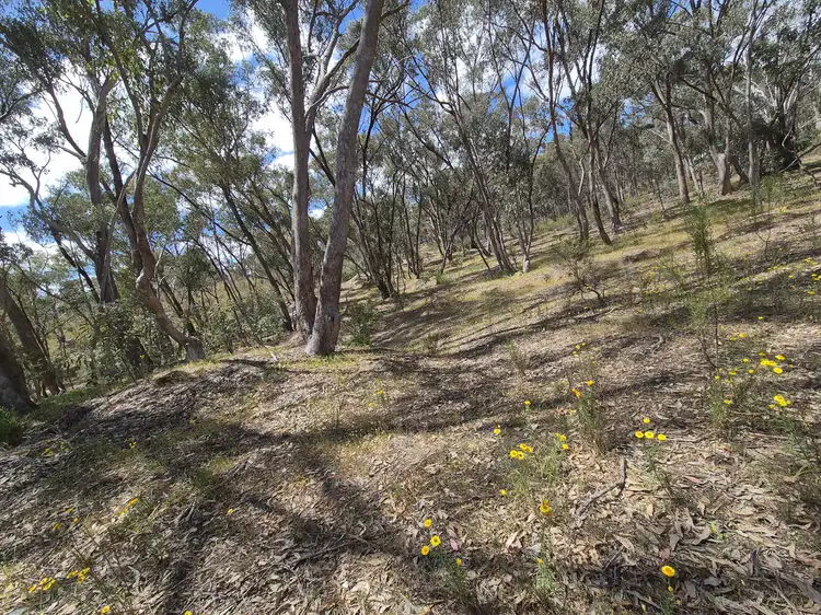 Main view of Homely land listing, 1 / 23 Monash Street, Newstead VIC 3462