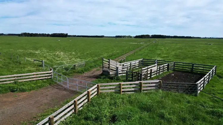 Third view of Homely rural property listing, Wiridgil Road, Chocolyn VIC 3260