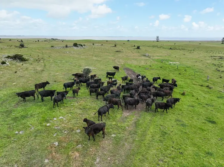 Fourth view of Homely rural property listing, 745 South Dreeite Road, Dreeite South VIC 3249