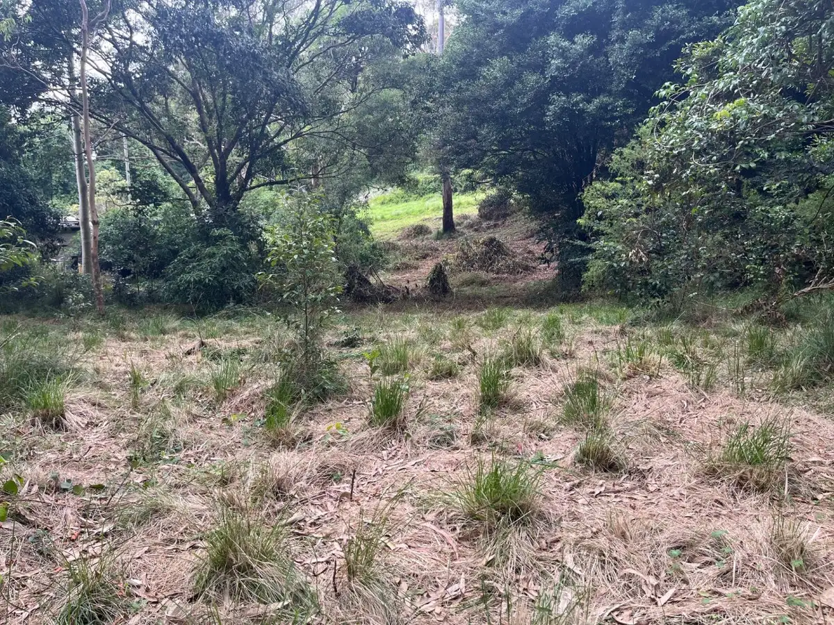 Main view of Homely land listing, LOT 104 Bell Street, Bunya Mountains QLD 4405