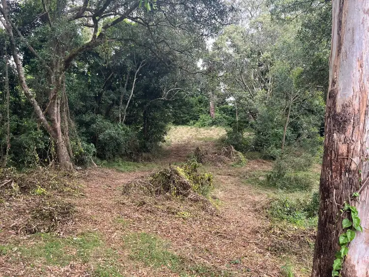 Fifth view of Homely land listing, LOT 104 Bell Street, Bunya Mountains QLD 4405