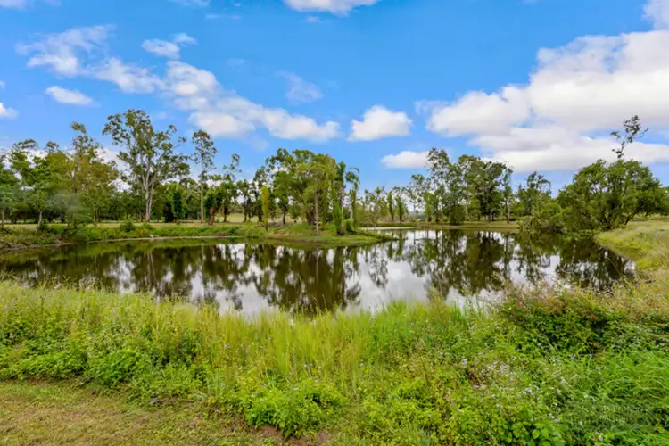 Sixth view of Homely rural property listing, 2107 Beaudesert-Beenleigh Road, Tamborine QLD 4270