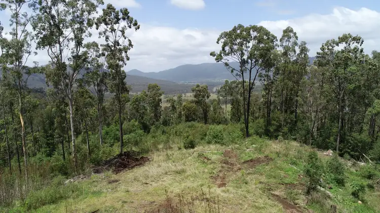 Main view of Homely rural property listing, 173 Knodingbul Forest Road, Mount George NSW 2424