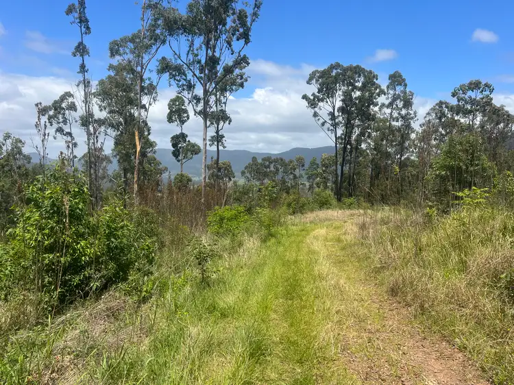 Second view of Homely rural property listing, 173 Knodingbul Forest Road, Mount George NSW 2424