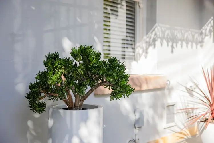Sixth view of Homely house listing, 9 Trouton Street, Balmain NSW 2041