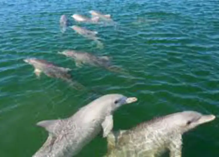 Second view of Homely land listing, 2 Cowled Street, Whyalla Norrie SA 5608