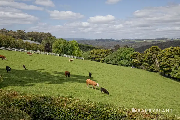 Second view of Homely house listing, 13 Upper Grieve Road, Avonsleigh VIC 3782