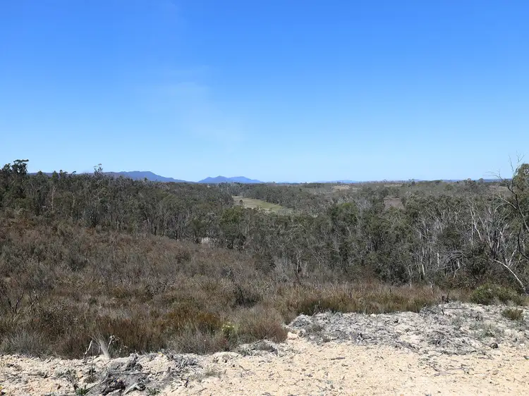 307 Quilty Road, Wog Wog NSW 2622