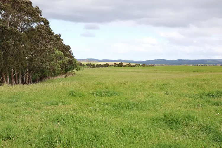 Fifth view of Homely rural property listing, 615 Rifle Butts Road, Birregurra VIC 3242