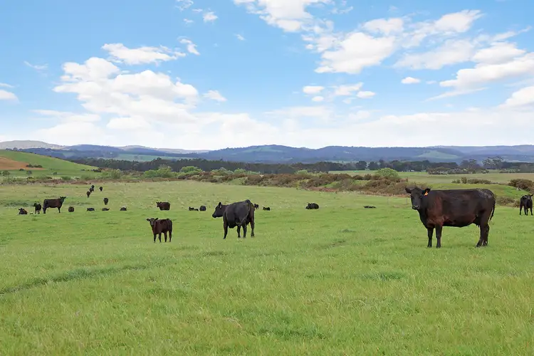 Sixth view of Homely rural property listing, 615 Rifle Butts Road, Birregurra VIC 3242