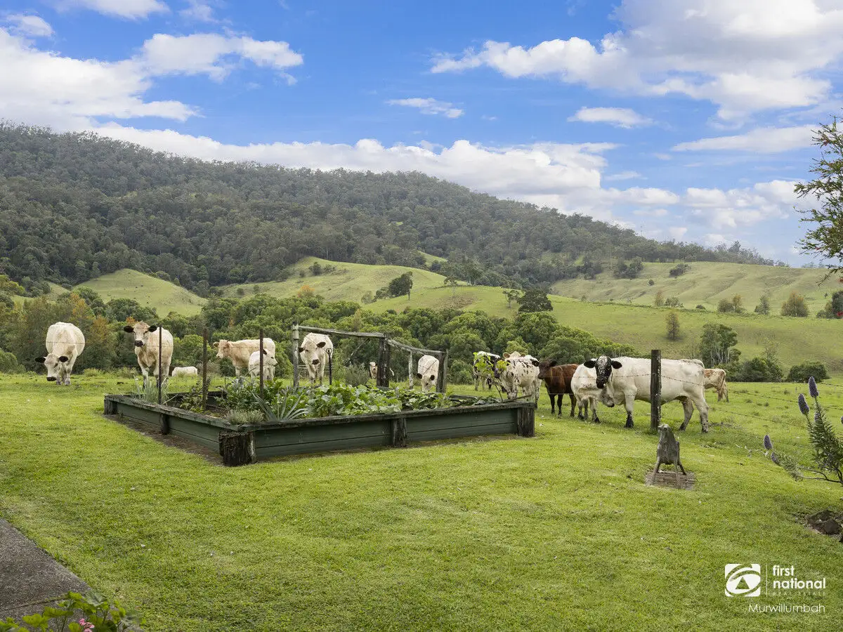 Main view of Homely house listing, 132 Hoggs Road, Tyalgum Creek NSW 2484