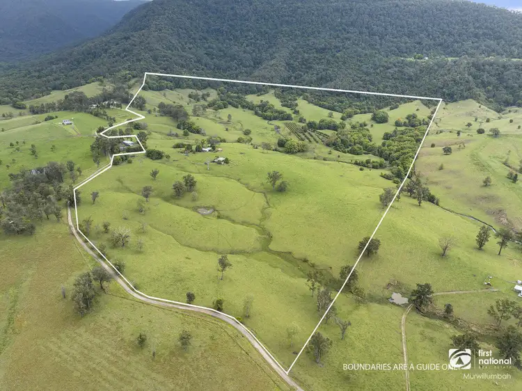 Fourth view of Homely house listing, 132 Hoggs Road, Tyalgum Creek NSW 2484