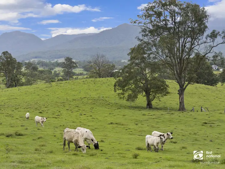 Fifth view of Homely house listing, 132 Hoggs Road, Tyalgum Creek NSW 2484