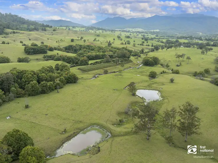 Sixth view of Homely house listing, 132 Hoggs Road, Tyalgum Creek NSW 2484