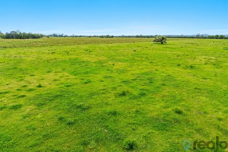 Sixth view of Homely rural property listing, 160 Swan Bay School Road, Swan Bay NSW 2471