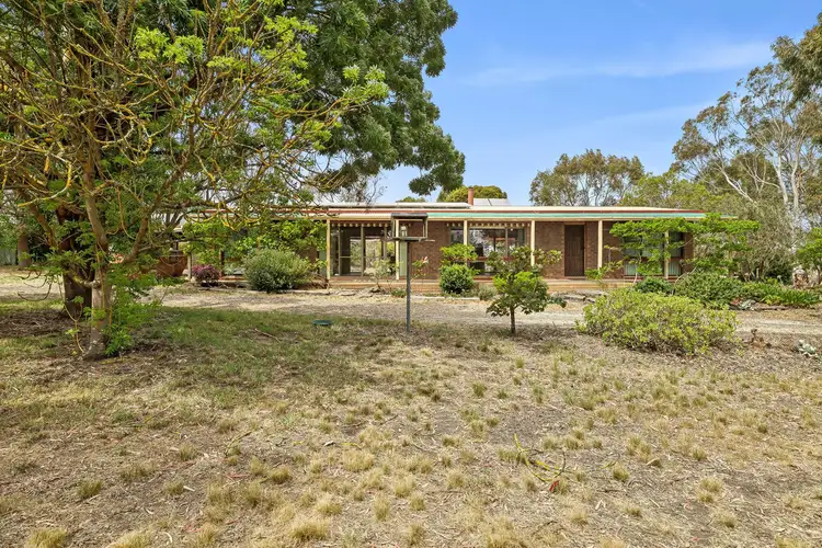 Main view of Homely house listing, 55 Stephensons Road, Winchelsea VIC 3241