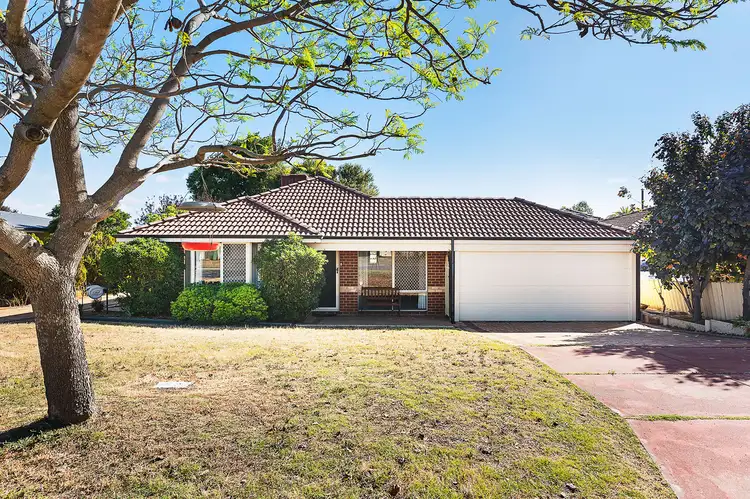Main view of Homely house listing, 8 Devon Way, Lynwood WA 6147