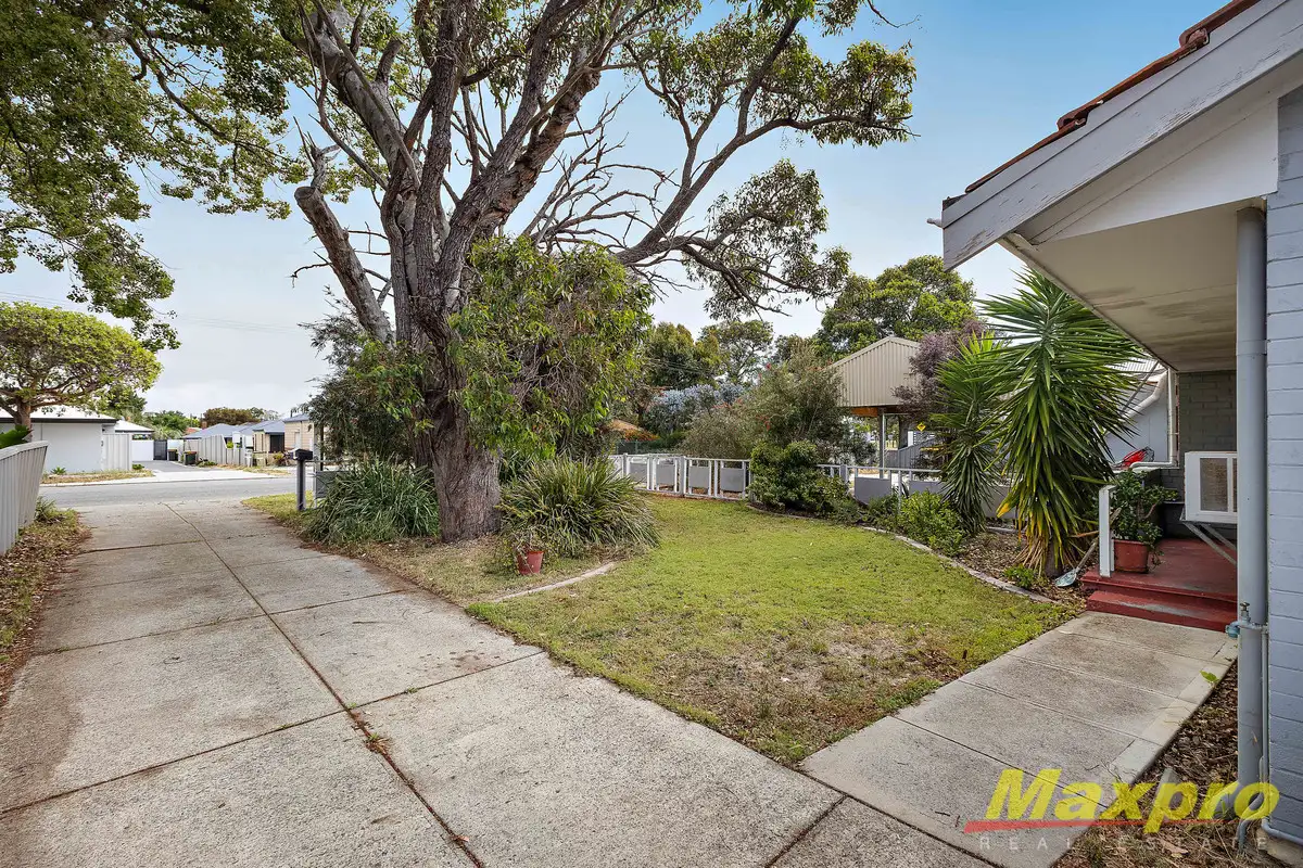 Main view of Homely semi-detached listing, 19B Dallington Crescent, Balga WA 6061