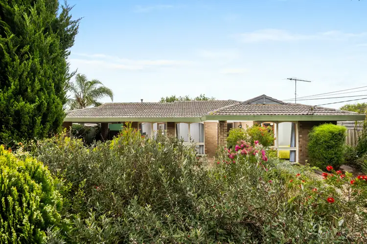 Second view of Homely house listing, 10 Edith Court, Belmont VIC 3216