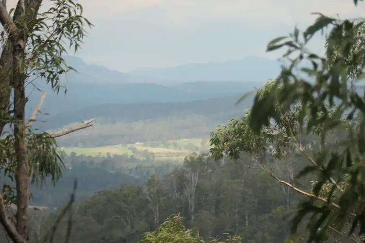 Second view of Homely rural property listing, 335 Sugarbag Rd (east ), Tabulam NSW 2469