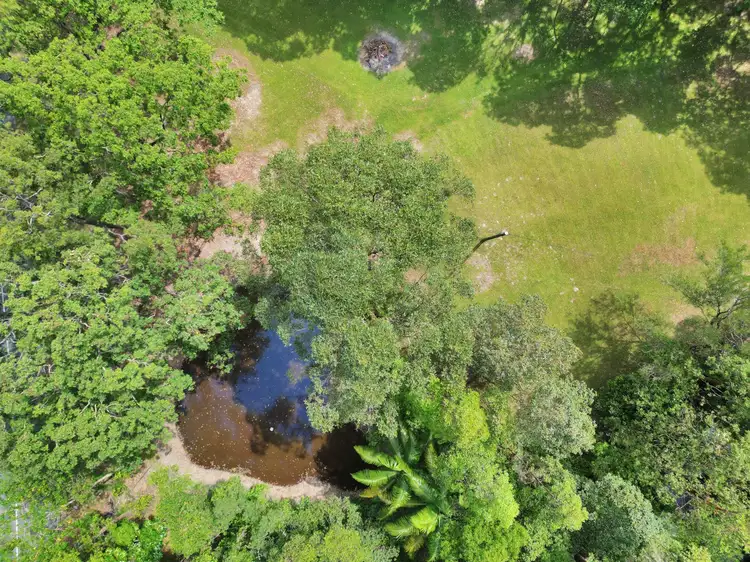 786 Tallebudgera Creek Road, Tallebudgera Valley QLD 4228