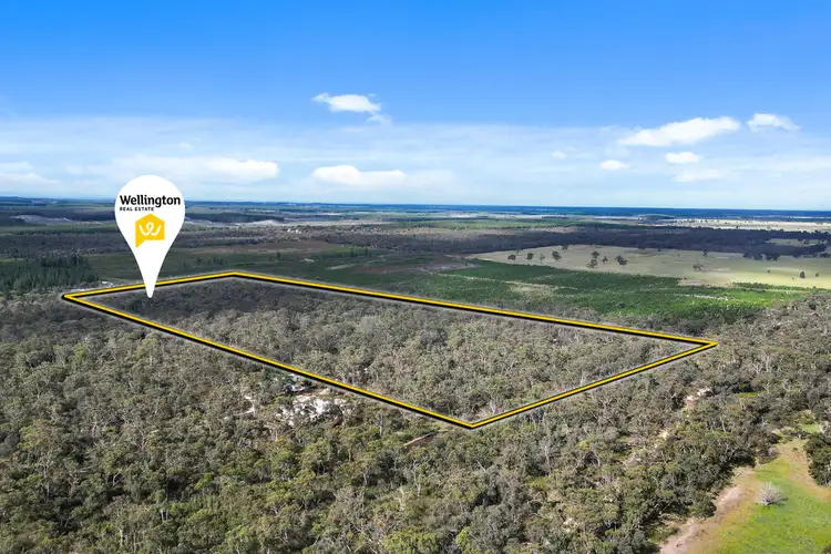Main view of Homely rural property listing, 171 Bradleys Road, Stradbroke VIC 3851