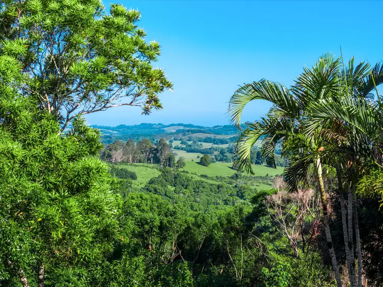 Second view of Homely house listing, 11 Booyong Road, Clunes NSW 2480