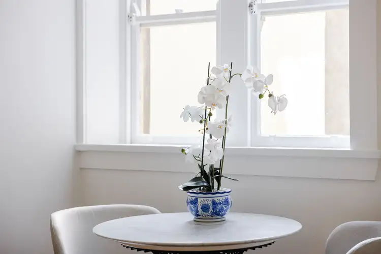 Fourth view of Homely apartment listing, 7/44 Hardie Street, Darlinghurst NSW 2010