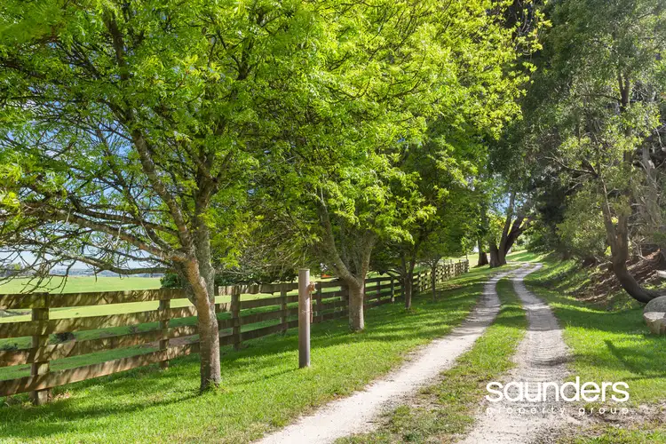 Second view of Homely rural property listing, 251 East Minstone Road, Scottsdale TAS 7260
