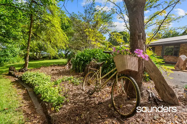 Fifth view of Homely rural property listing, 251 East Minstone Road, Scottsdale TAS 7260