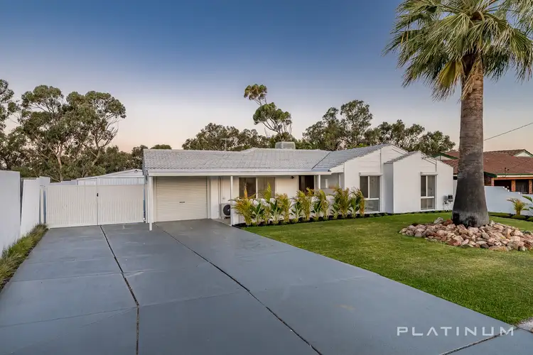 Main view of Homely house listing, 41 Britannia Way, Craigie WA 6025